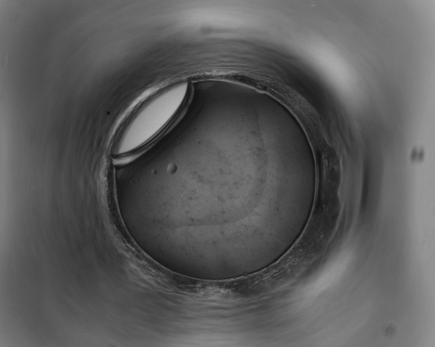 X0000102010387200807251314