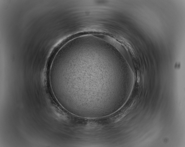 X0000102010388200807251314