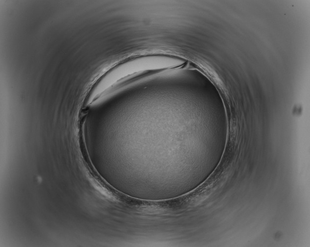 X0000102010389200807251314