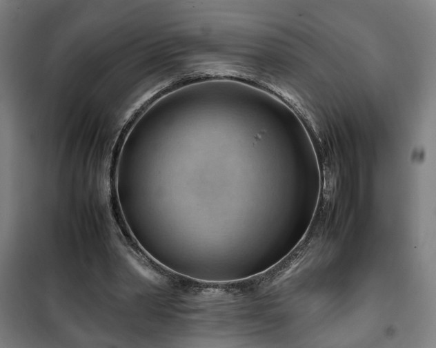 X0000102010390200807251314