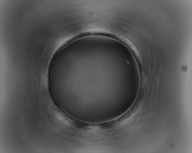 X0000102010391200807251314