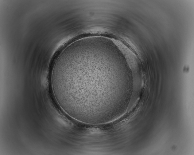 X0000102010392200807251314