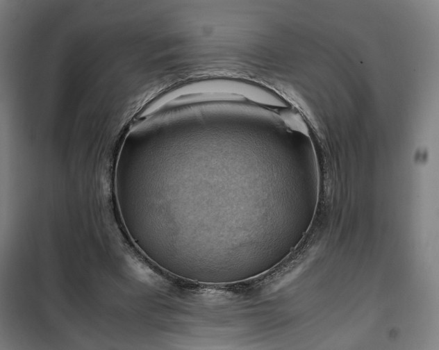 X0000102010393200807251314