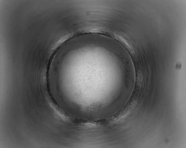 X0000102010394200807251314