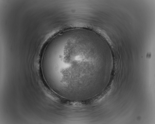 X0000102010395200807251314