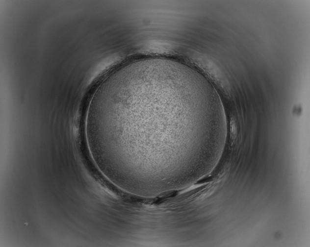 X0000102010396200807251314