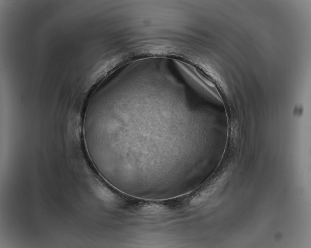 X0000102010397200807251314