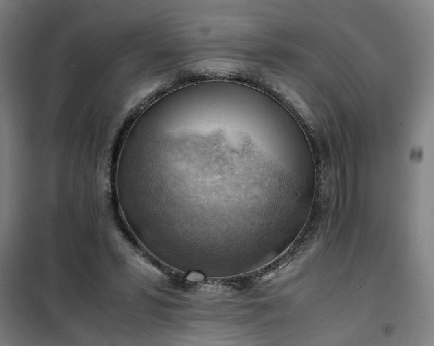 X0000102010399200807251313