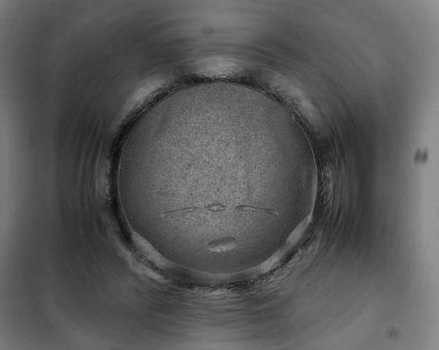 X0000102010400200807251313