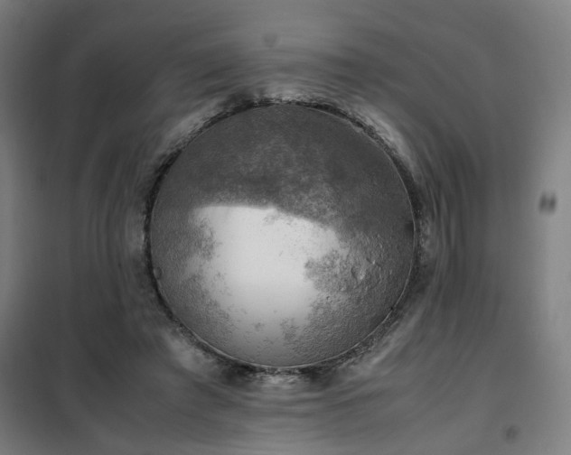 X0000102010401200807251313