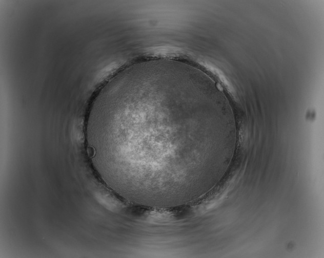 X0000102010403200807251313