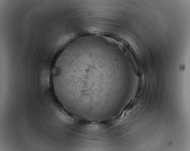 X0000102010404200807251313