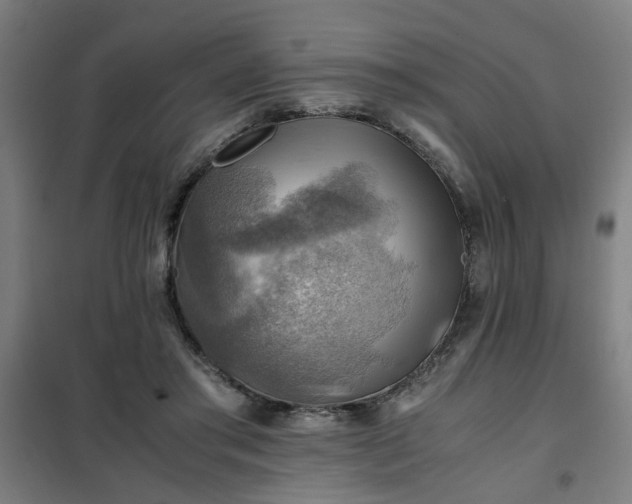 X0000102010405200807251313