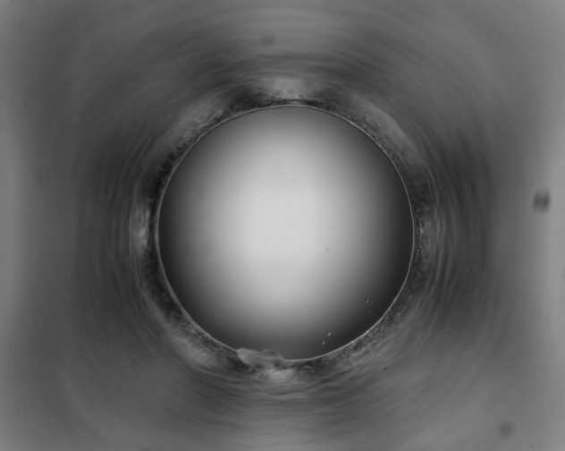 X0000102010406200807251313