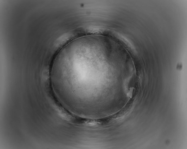 X0000102010407200807251313