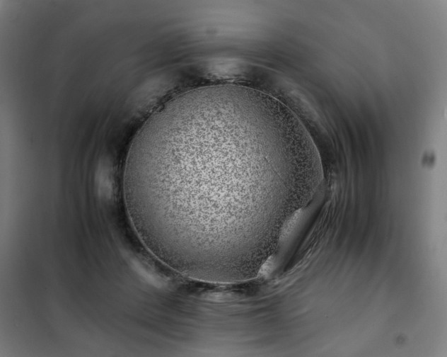 X0000102010408200807251313