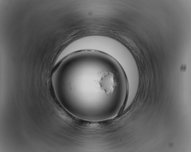 X0000102010409200807251313