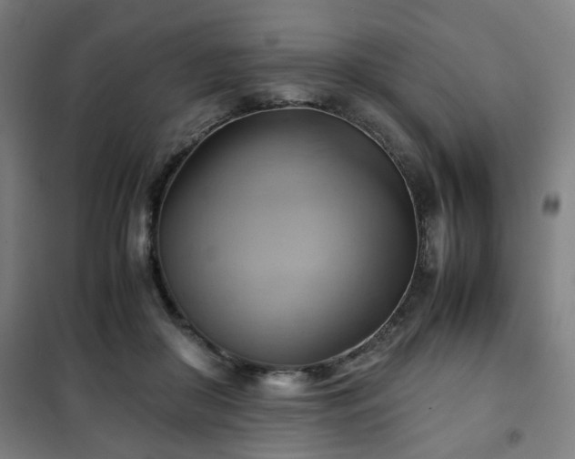 X0000102010410200807251313