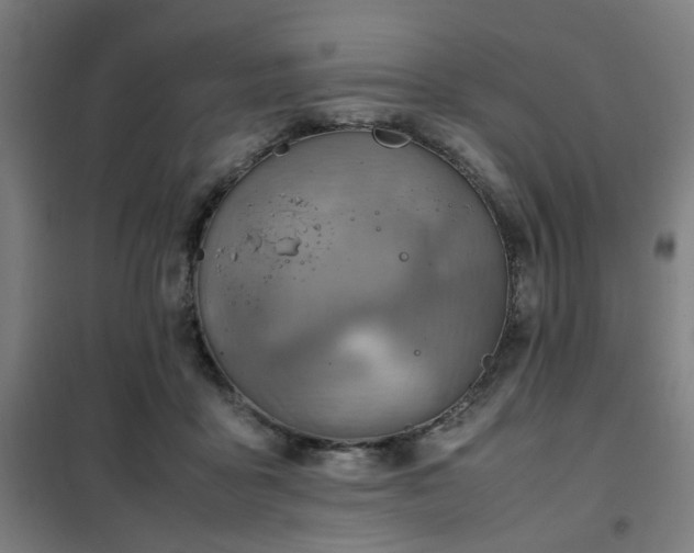X0000102010411200807251313