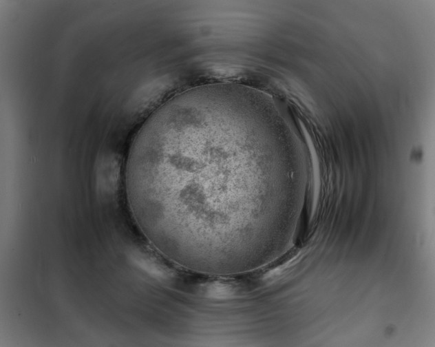 X0000102010412200807251313