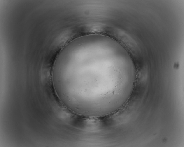 X0000102010415200807251313