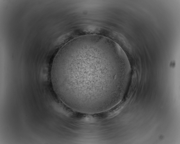 X0000102010416200807251313