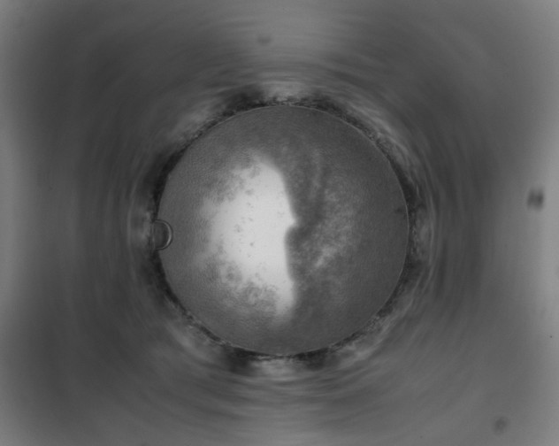 X0000102010417200807251313