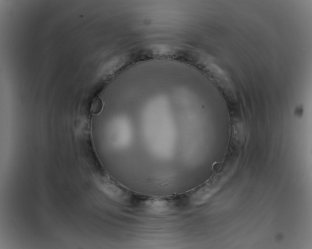 X0000102010419200807251313