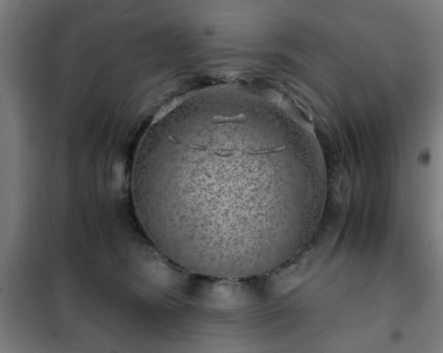 X0000102010420200807251313