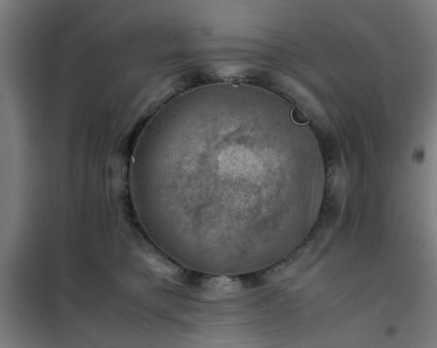 X0000102010421200807251313