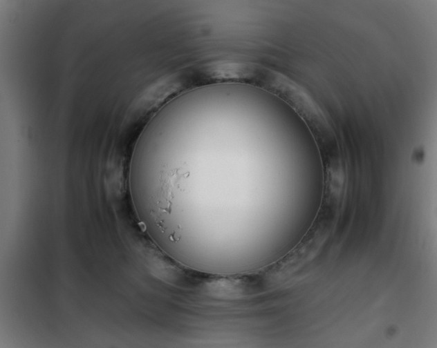 X0000102010422200807251313