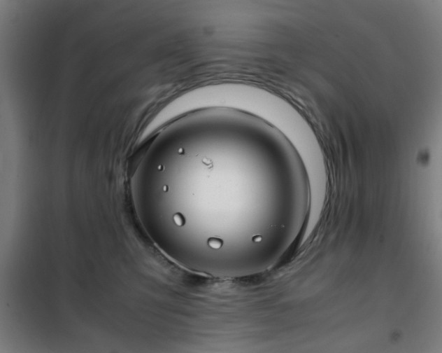 X0000102010423200807251313