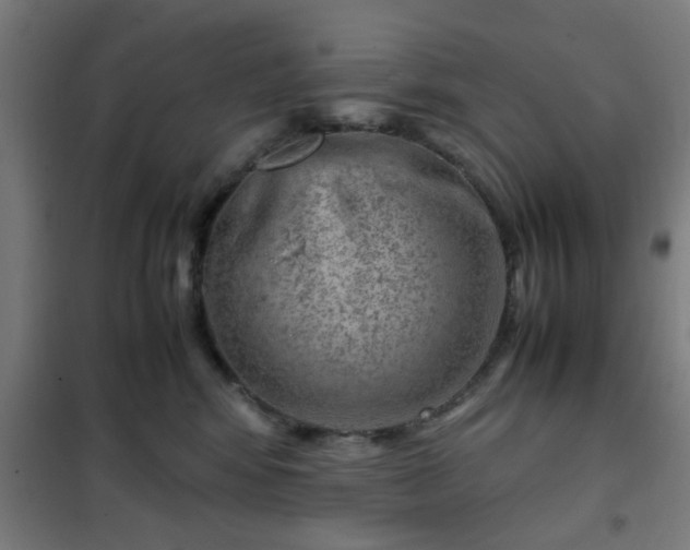 X0000102010424200807251313