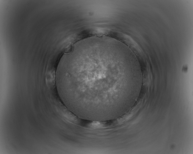 X0000102010425200807251313