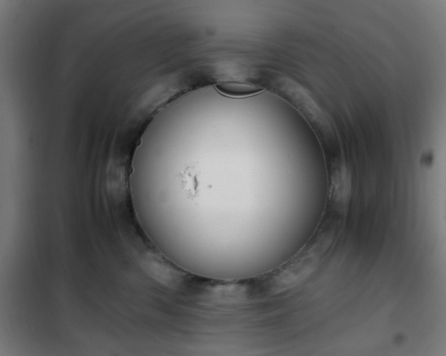 X0000102010426200807251313