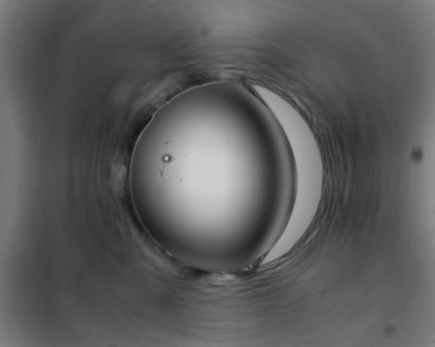 X0000102010427200807251313