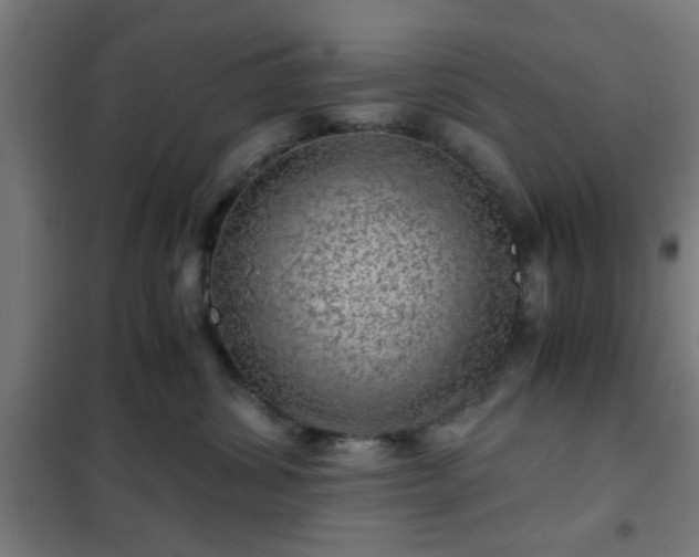 X0000102010428200807251313
