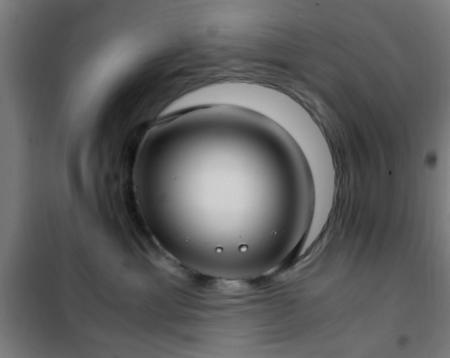 X0000102010429200807251313