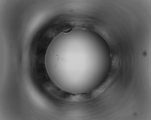 X0000102010430200807251313