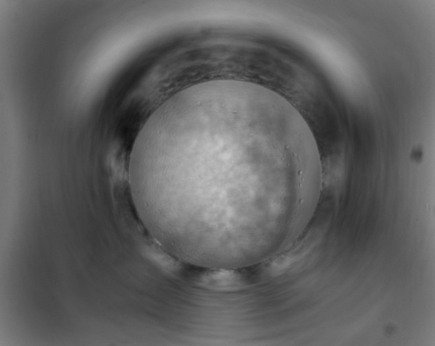 X0000102010431200807251313