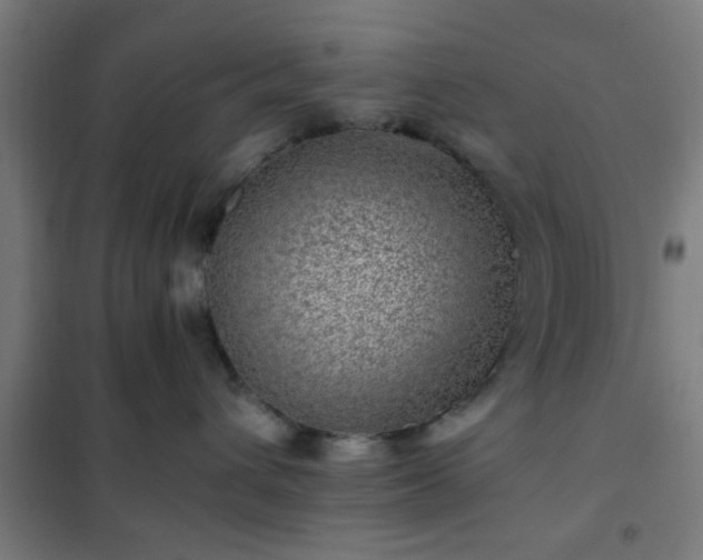X0000102010432200807251313