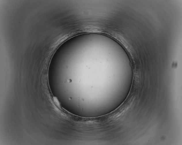 X0000102010433200807251312