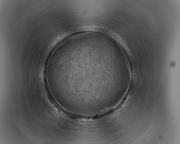 X0000102010434200807251312
