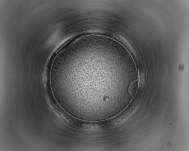 X0000102010435200807251312