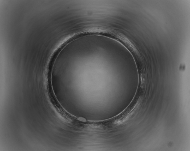 X0000102010436200807251312