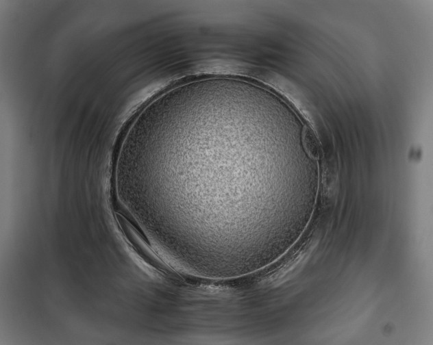 X0000102010437200807251312