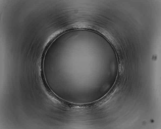 X0000102010438200807251312