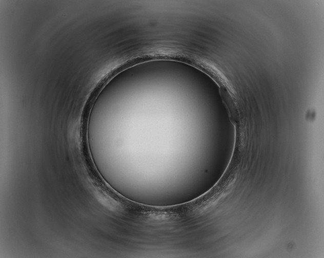 X0000102010439200807251312