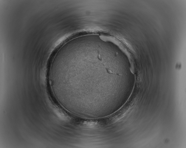 X0000102010440200807251312