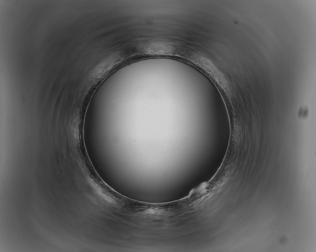 X0000102010441200807251312